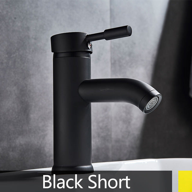 Stainless Steel Paint Faucet - Pebble Canyon